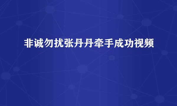 非诚勿扰张丹丹牵手成功视频