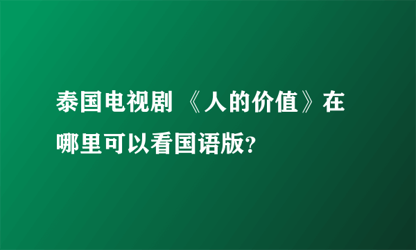 泰国电视剧 《人的价值》在哪里可以看国语版？