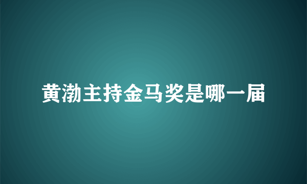 黄渤主持金马奖是哪一届