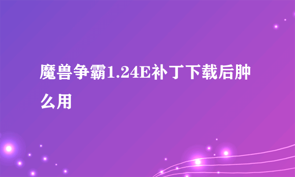 魔兽争霸1.24E补丁下载后肿么用