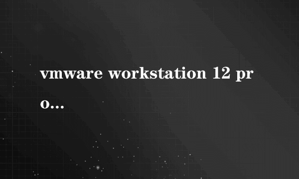 vmware workstation 12 pro 最新版本号是多少