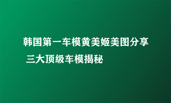 韩国第一车模黄美姬美图分享 三大顶级车模揭秘