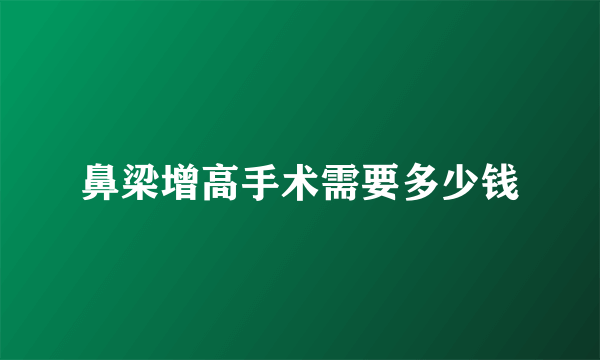 鼻梁增高手术需要多少钱