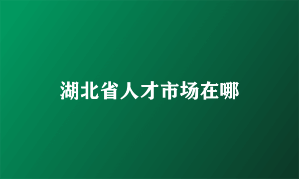 湖北省人才市场在哪