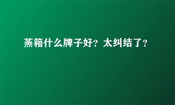 蒸箱什么牌子好？太纠结了？