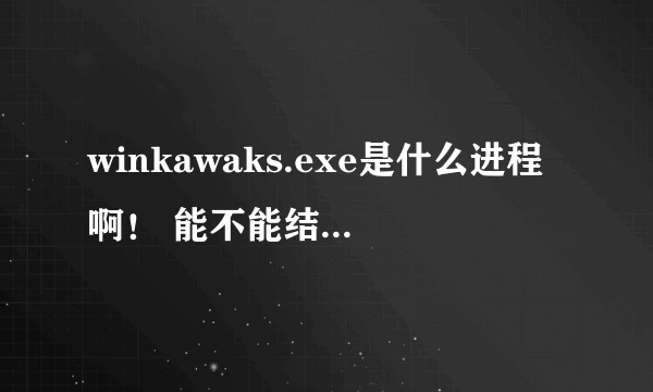 winkawaks.exe是什么进程啊！ 能不能结束这个进程