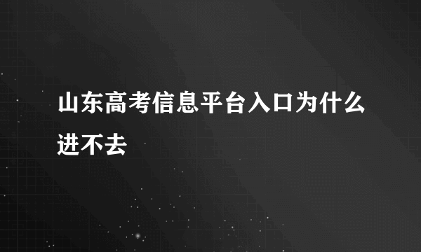 山东高考信息平台入口为什么进不去