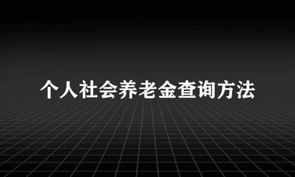 个人社会养老金查询方法