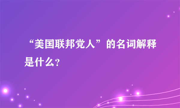 “美国联邦党人”的名词解释是什么？