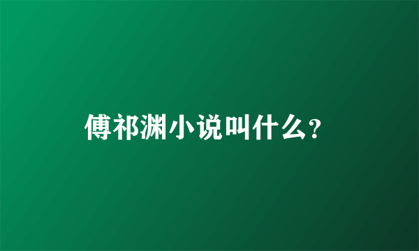 傅祁渊小说叫什么？