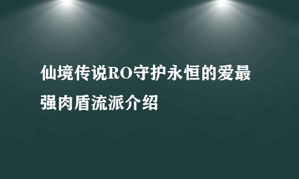 仙境传说RO守护永恒的爱最强肉盾流派介绍