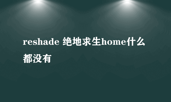 reshade 绝地求生home什么都没有