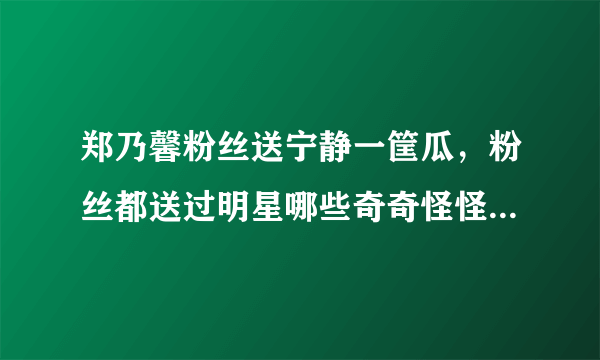 郑乃馨粉丝送宁静一筐瓜，粉丝都送过明星哪些奇奇怪怪的东西？