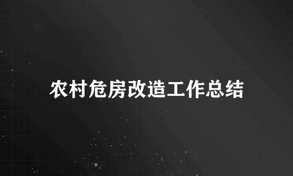 农村危房改造工作总结