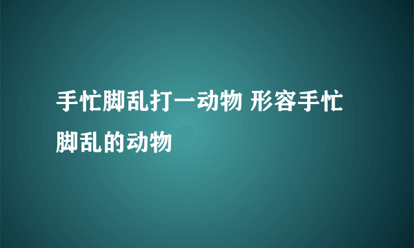 手忙脚乱打一动物 形容手忙脚乱的动物