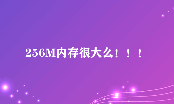 256M内存很大么！！！