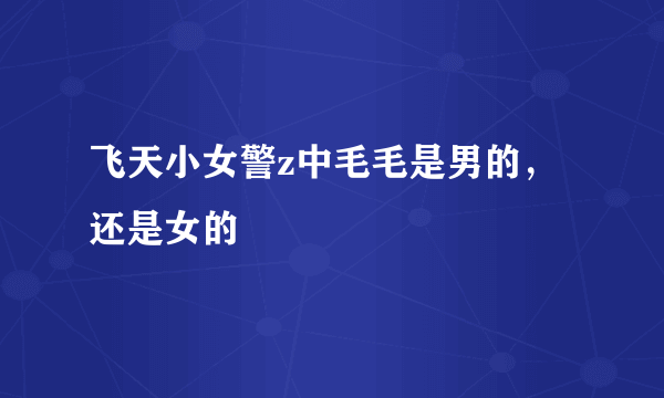 飞天小女警z中毛毛是男的，还是女的