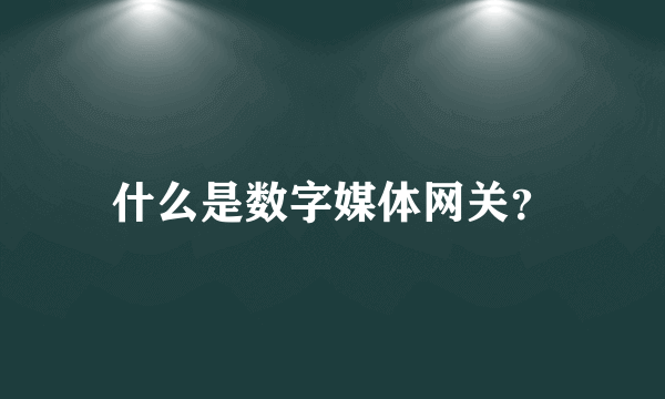 什么是数字媒体网关？