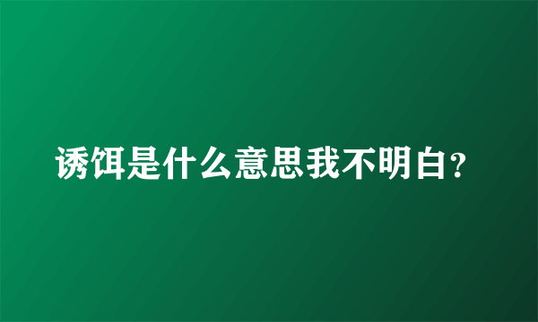 诱饵是什么意思我不明白？