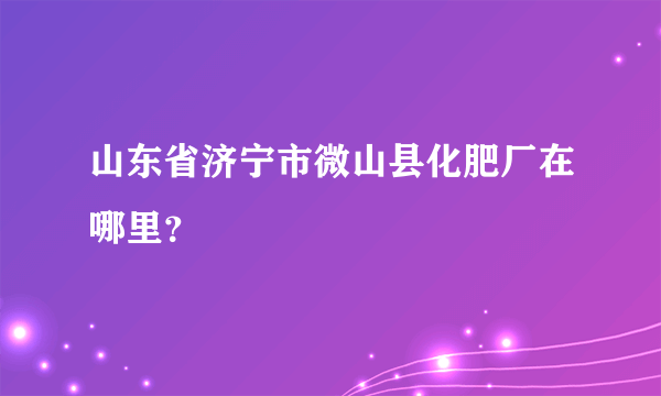 山东省济宁市微山县化肥厂在哪里？