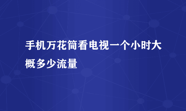 手机万花筒看电视一个小时大概多少流量