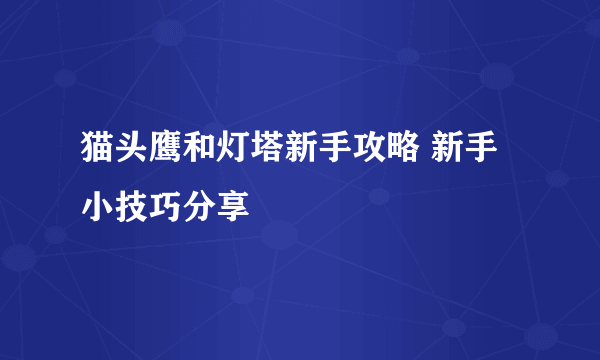 猫头鹰和灯塔新手攻略 新手小技巧分享