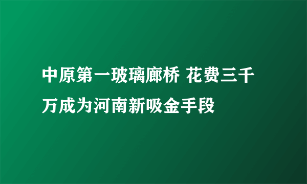 中原第一玻璃廊桥 花费三千万成为河南新吸金手段