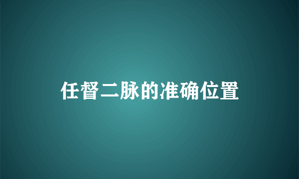 任督二脉的准确位置