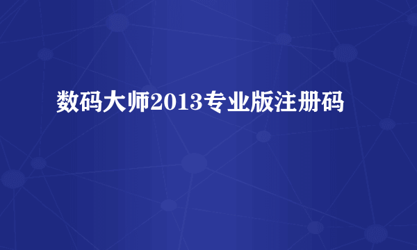 数码大师2013专业版注册码