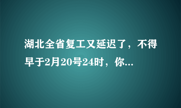 湖北全省复工又延迟了，不得早于2月20号24时，你怎么看？