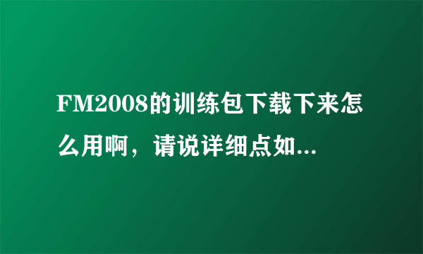 FM2008的训练包下载下来怎么用啊，请说详细点如题 谢谢了