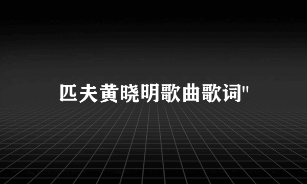 匹夫黄晓明歌曲歌词