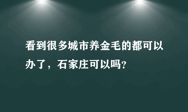 看到很多城市养金毛的都可以办了，石家庄可以吗？