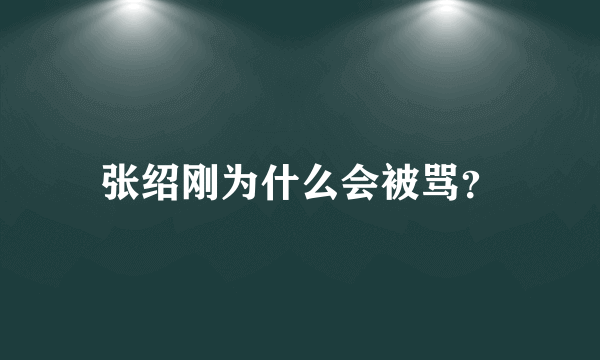 张绍刚为什么会被骂？