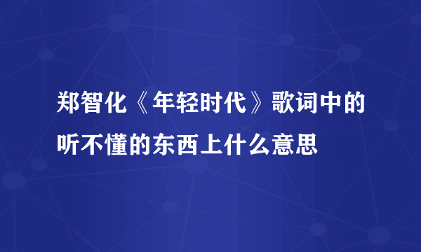 郑智化《年轻时代》歌词中的听不懂的东西上什么意思