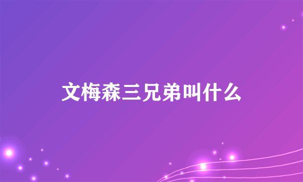 文梅森三兄弟叫什么