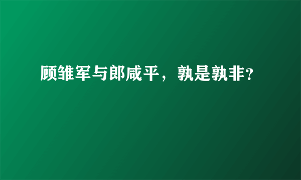 顾雏军与郎咸平，孰是孰非？