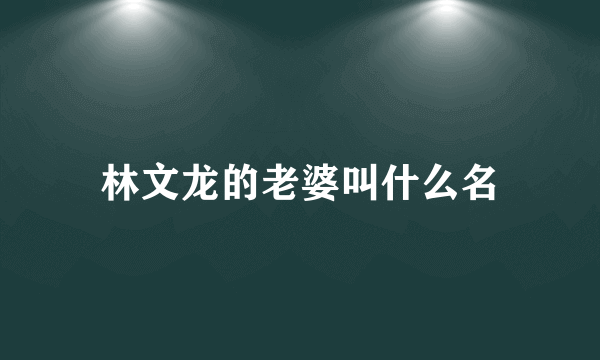 林文龙的老婆叫什么名