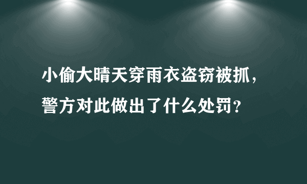 小偷大晴天穿雨衣盗窃被抓，警方对此做出了什么处罚？