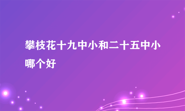 攀枝花十九中小和二十五中小哪个好