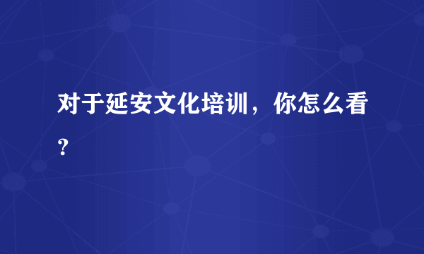 对于延安文化培训，你怎么看？