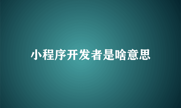 小程序开发者是啥意思