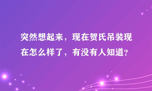 突然想起来，现在贺氏吊装现在怎么样了，有没有人知道？