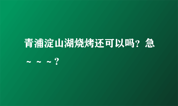 青浦淀山湖烧烤还可以吗？急～～～？