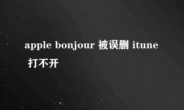 apple bonjour 被误删 itune 打不开