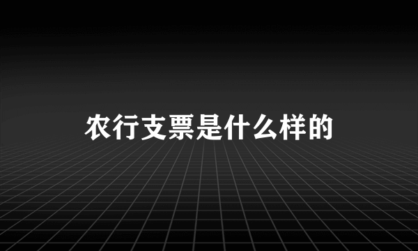 农行支票是什么样的