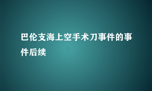 巴伦支海上空手术刀事件的事件后续