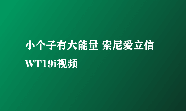 小个子有大能量 索尼爱立信WT19i视频