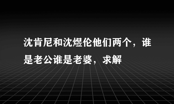 沈肯尼和沈煜伦他们两个，谁是老公谁是老婆，求解