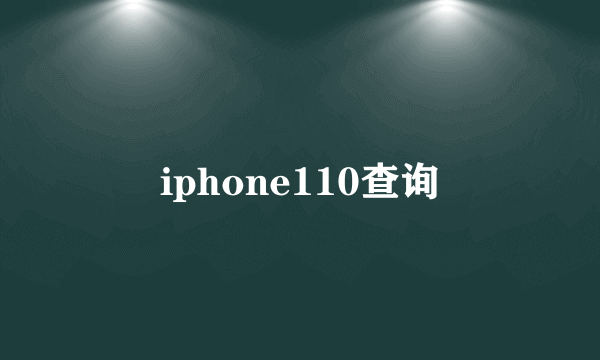 iphone110查询